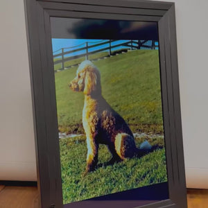 Besonderes Haustierandenken, Alte Haustierfotos zu besonderem Geschenk, personalisiertes Haustiergeschenk mit animierten Fotos, Trauergeschenk für Haustierliebhaber