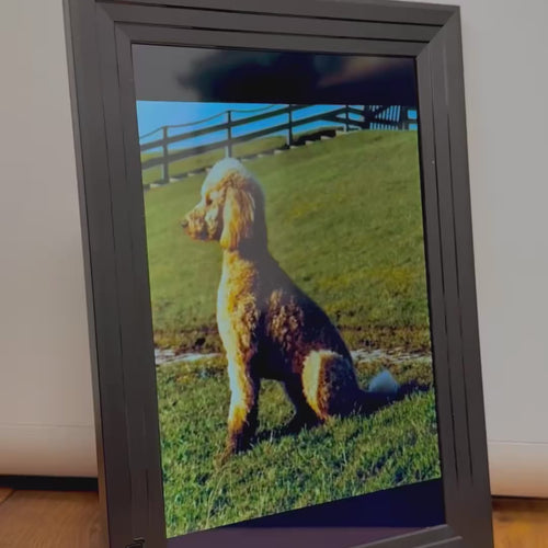 Besonderes Haustierandenken, Alte Haustierfotos zu besonderem Geschenk, personalisiertes Haustiergeschenk mit animierten Fotos, Trauergeschenk für Haustierliebhaber