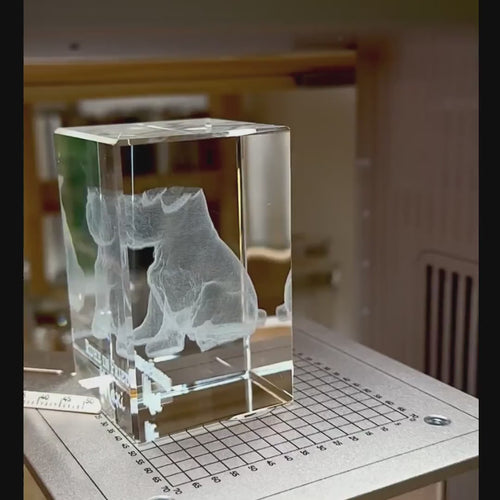 Blick in die Wiener Manufaktur von Dreizack in Ottakring bei der präzisen Herstellung einer 3D Kristallglas-Gravur mittels hochmoderner Lasertechnik.