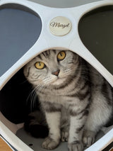 PetPod – Dein Katzenhaus in Wunschfarbe | Nachhaltig, stylisch & individuell