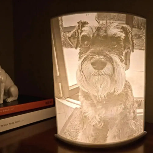 Lithopan mit Wunschfoto | 3D-gedrucktes Lichtbild aus Wien