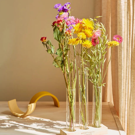 Trockenblumen Geschenkbox in bunten Naturtönen mit zwei Glasvasen, 35 cm lang, im flachen Briefkastenformat.